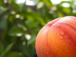 Jak stylizować brodę? Praktyczne porady i najczęstsze błędy
